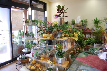 「フラワーデザイン・アドニス」　（福岡県那珂川市）の花屋店舗写真3