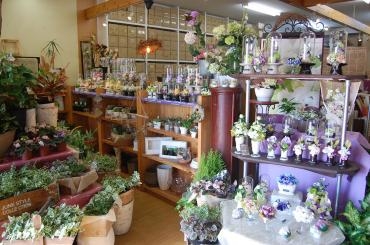 スーパー猛暑のお盆を迎えるために|「フラワーデザイン・アドニス」　（福岡県那珂川市の花屋）のブログ